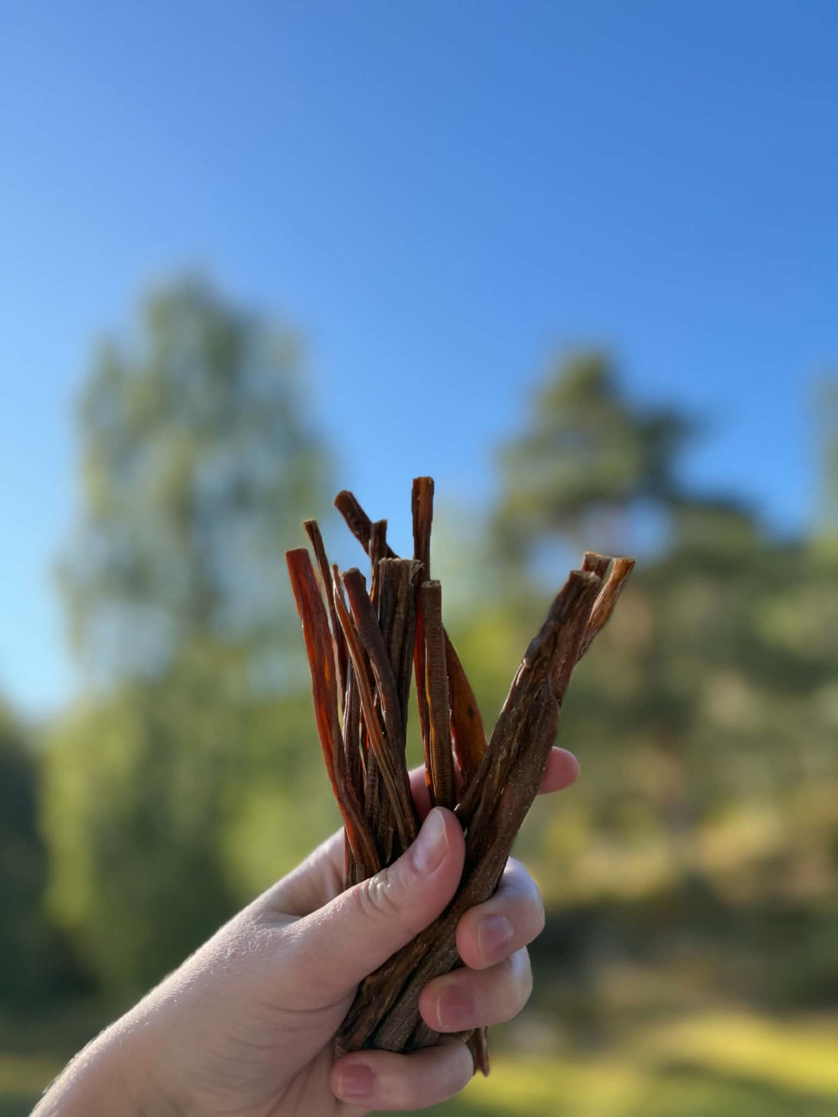 Jr Goat Spaghetti 50G