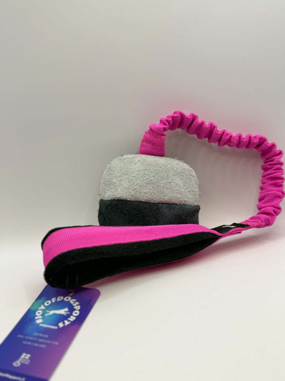 Joy of Dog Sports – TeenyTiny With Bungee