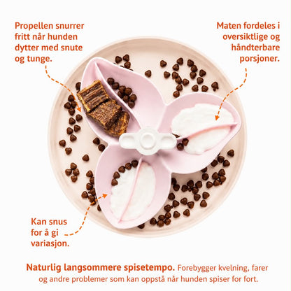 PetDreamHouse SPIN Interaktiv Slow Feeder